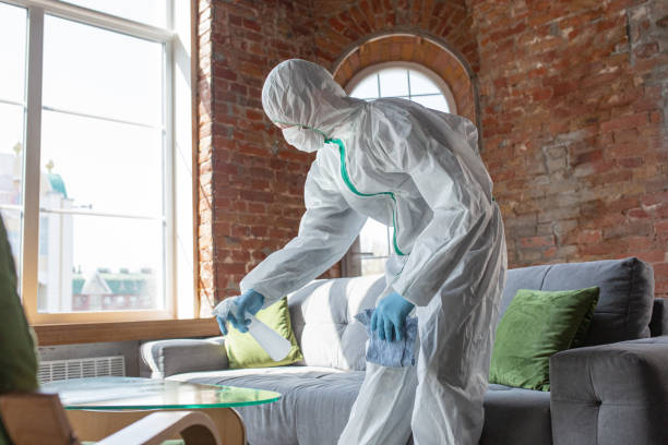 Trusted Darien Downtown, CT Mold Removal & Remediation Experts